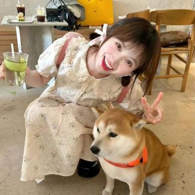 蓬岛仙舞