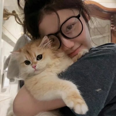 公猫