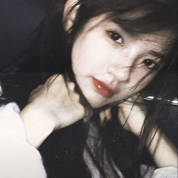 火之鸟772